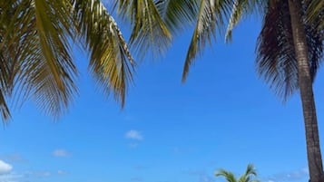 Una spiaggia nelle vicinanze