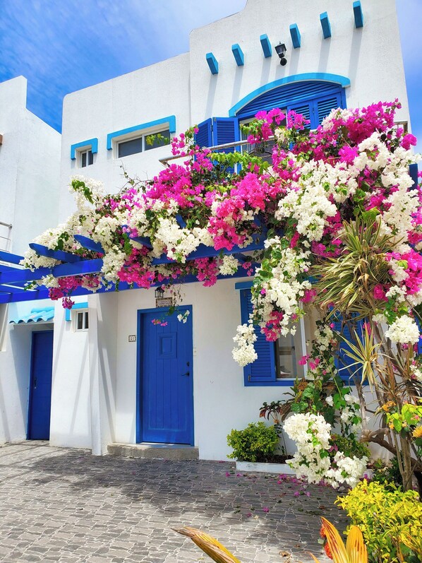 Exterior detail - Casa Azul - 3 Bedroom House with AC Pool and WiFi (General Villamil)