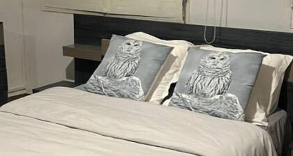 Dakar Rekk - Studio Extra Centre Très Bien Situé - You are in the heart of the city