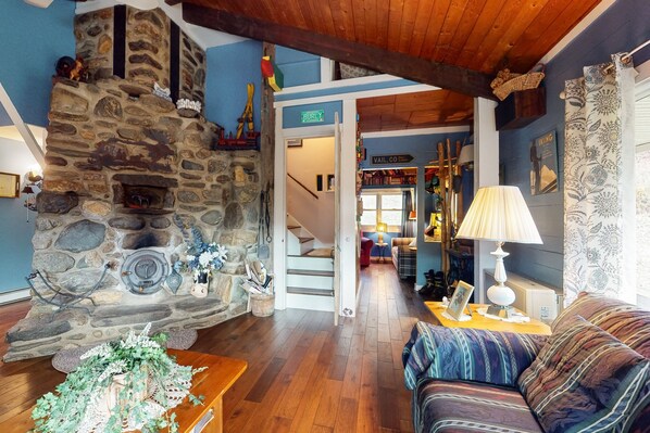 TV, fireplace, books