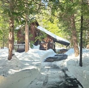 Property grounds - The Big Trees Hideaway in Arnold, CA – Your Nature Getaway Awaits! (Arnold)