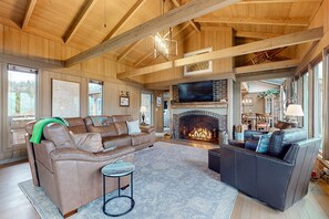 TV, fireplace, books