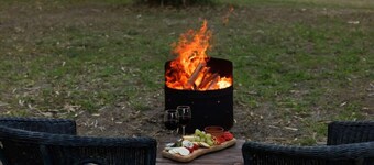 Bamboo Grove by Tiny Away