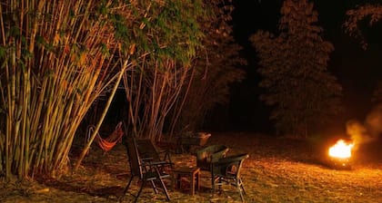 Bamboo Grove by Tiny Away