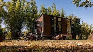 A small wooden cabin with a deck, surrounded by bamboo trees.