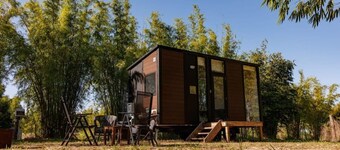 Bamboo Grove by Tiny Away