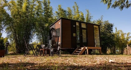 Bamboo Grove by Tiny Away