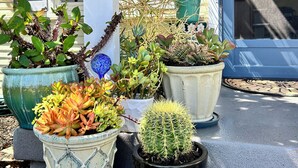 Une variété de plantes en pot disposées sur une véranda devant une maison.