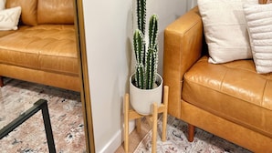 A cozy living room with a brown leather sofa, a small white side table with a cactus, and a window with blinds. - Spacious & bright 2 bedroom suite with full kitchen and in-suite laundry!  (Langley Township)