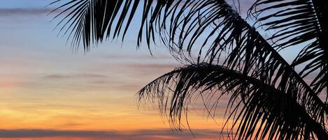 Beach nearby, white sand, 20 beach bars