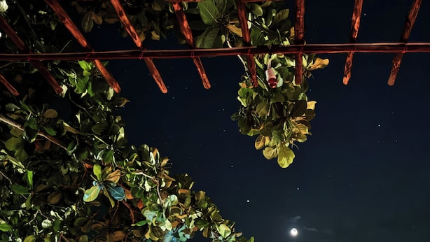 Escena nocturna con una pérgola de madera, una fogata y vistas al océano bajo un cielo estrellado.