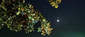 Abrite House - Tiny House Koh Lanta