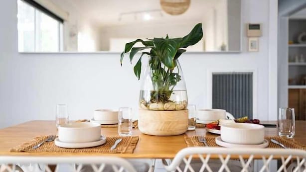 Une table à manger avec de l’assiette blanche, des verres et une plante en pot au centre.