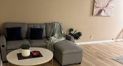Charming 1-bedroom townhome in serene Fairbanks with WiFi