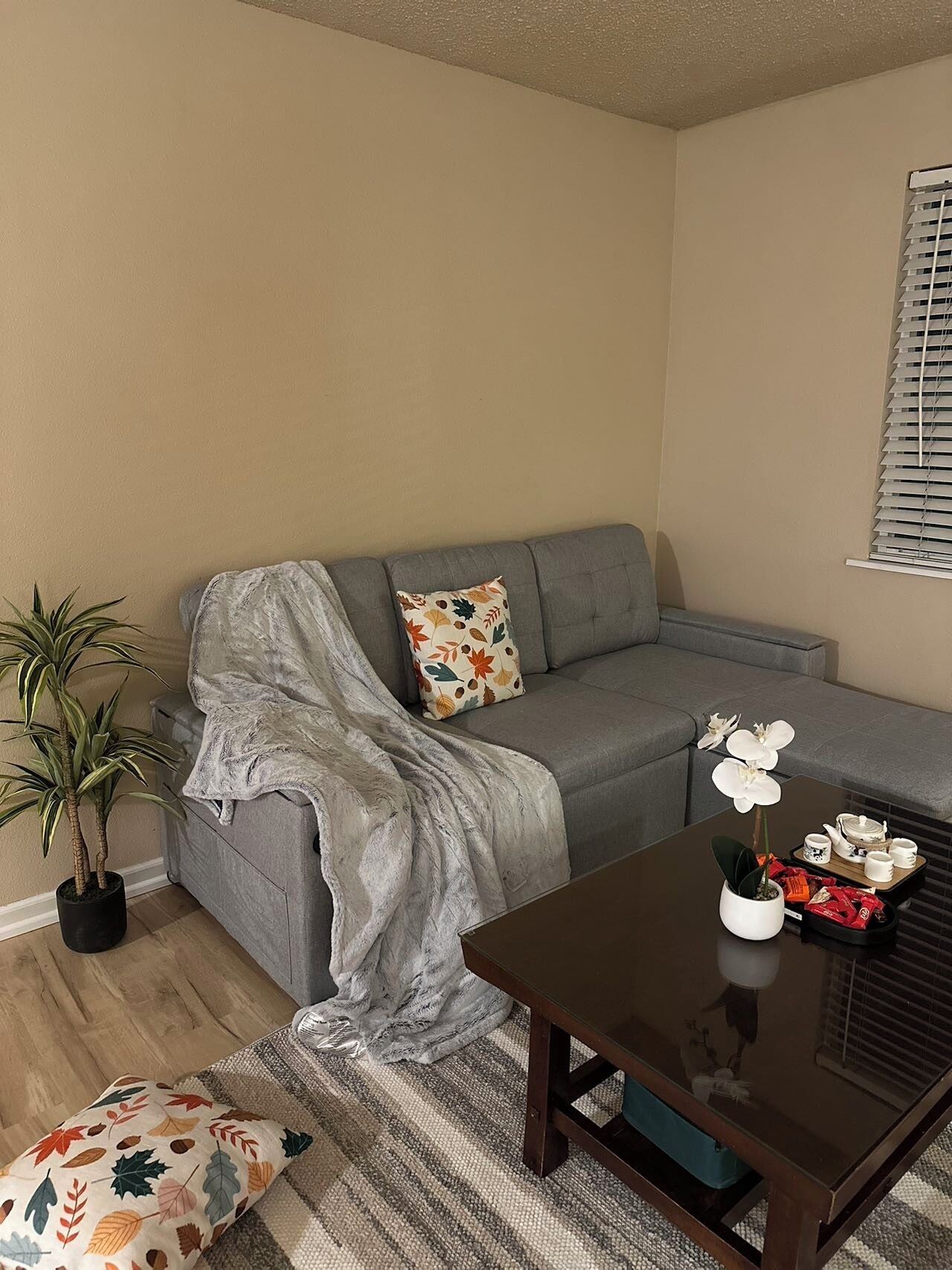 A living room with a grey sofa, a coffee table, a potted plant, and a window with blinds.