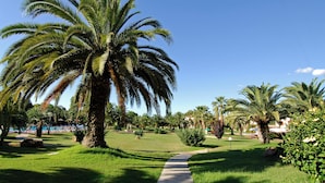 A pathway leading through a well-maintained garden with palm trees and a pool area.