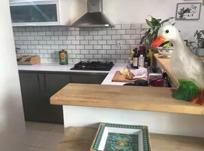 Een koelkast, een oven, een kookplaat, een vaatwasser