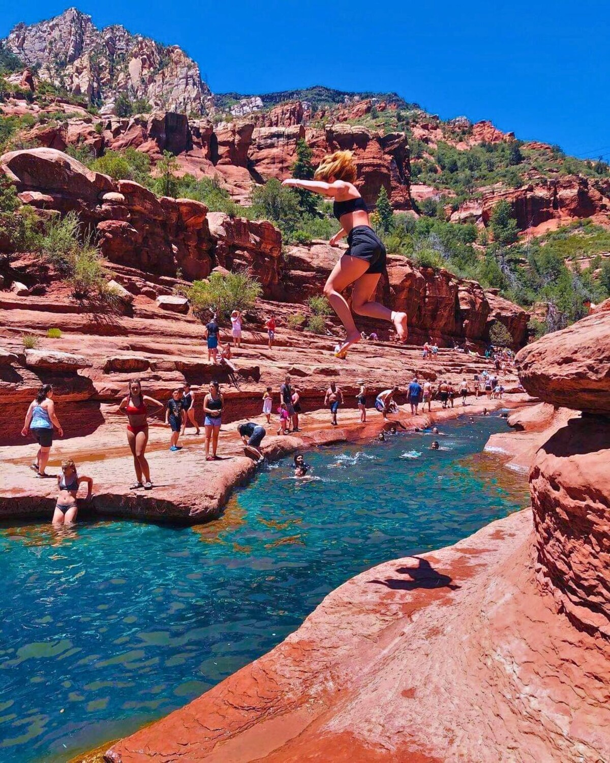 Imagen de perfil del propietario o de la propietaria