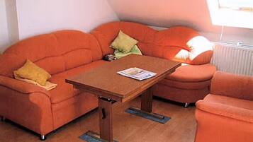 Tv, eldstad, dvd-spelare och ett bordtennisbord