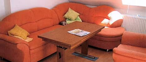 Téléviseur, foyer, lecteur de DVD, table de ping-pong