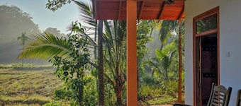 Forest & Fields Sinharaja
