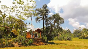 Una casa rústica rodeada de exuberante vegetación y un campo de arroz.