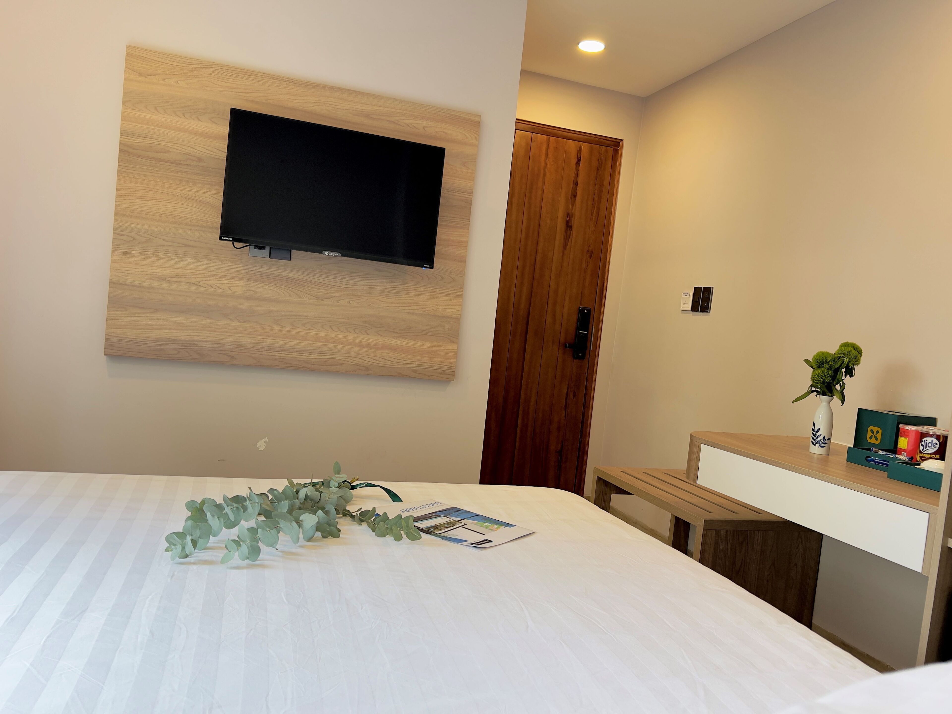 Une chambre d’hôtel équipée d’un téléviseur à écran plat fixé au mur, d’une porte en bois, d’une table de chevet ornée d’un vase contenant des plantes vertes et d’une petite boîte de mouchoirs.