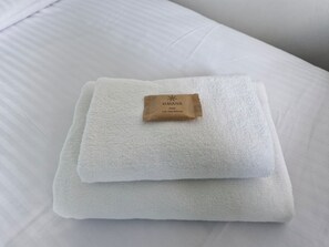 Douche, sèche-cheveux, serviettes fournies, savon