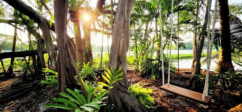 Tiny Island Lake Lodge