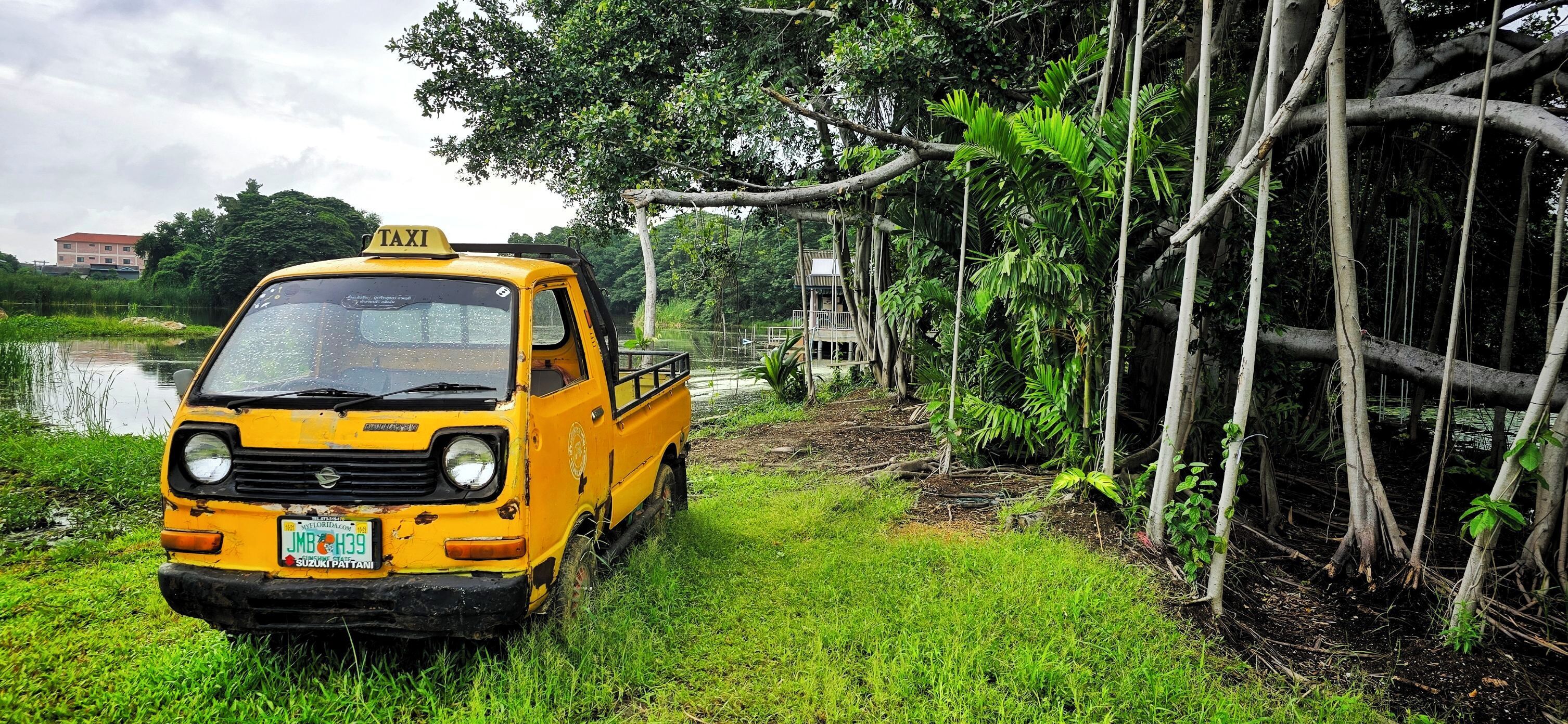 A yellow taxi parked on a grassy area near a body of water, surrounded by trees and vegetation.
