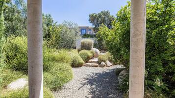 Un sentier de jardin agrémenté d’une pergola, entouré de divers arbustes et plantes.