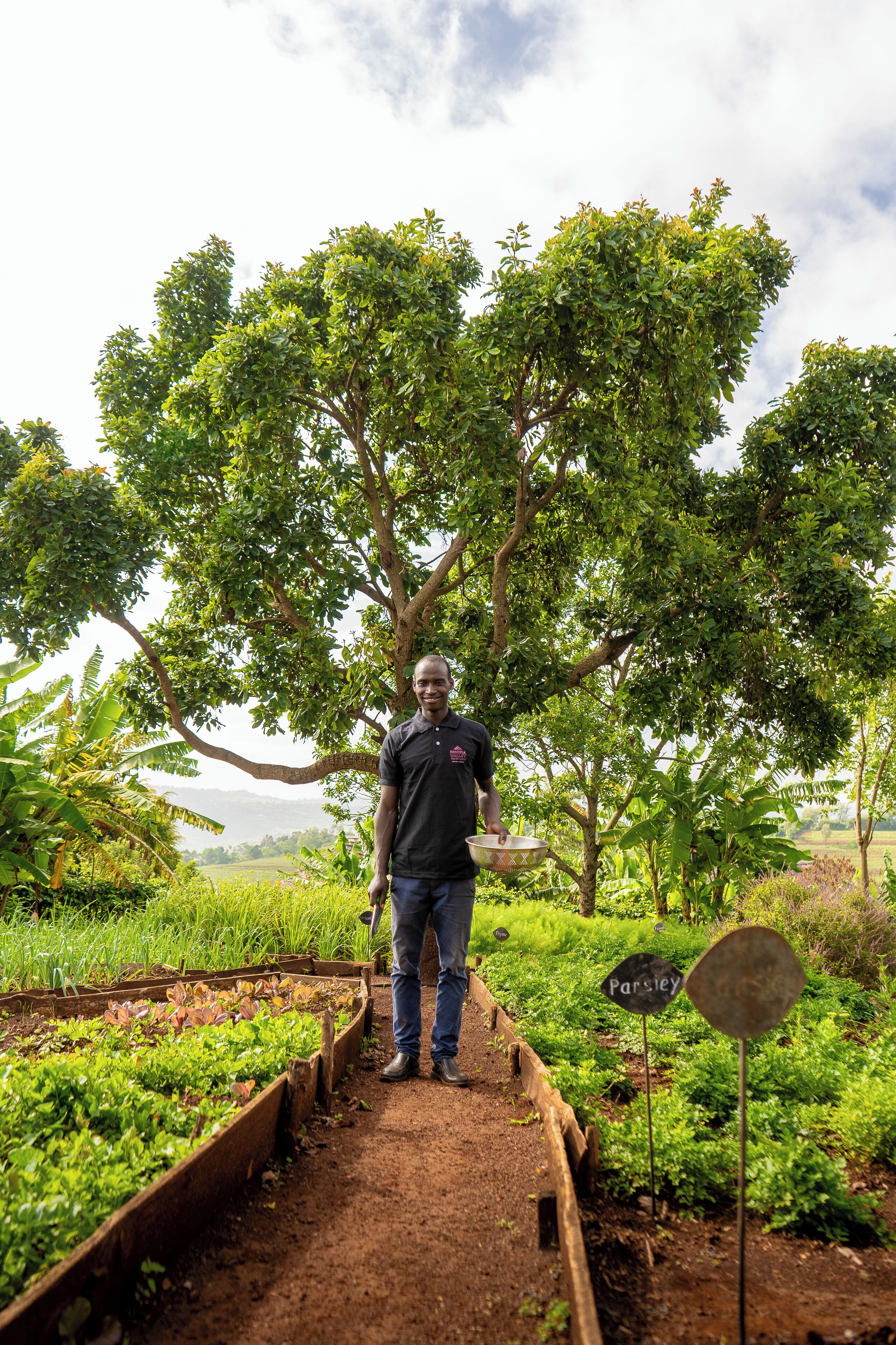 Une personne se tient dans un jardin avec des plates-bandes surélevées, un panneau indiquant « persil », et un arbre en arrière-plan.