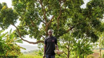Une personne se tient dans un jardin avec des plates-bandes surélevées, un panneau indiquant « persil », et un arbre en arrière-plan.