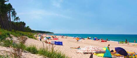 House | View from property