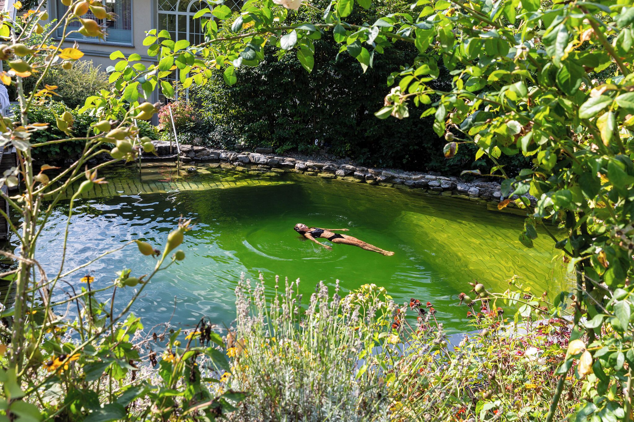 室內游泳池和室外游泳池