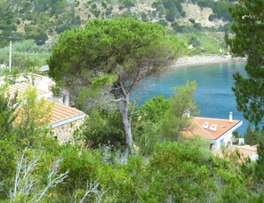 Una propiedad costera con un gran árbol en primer plano, vista despejada del mar y un edificio con techo de tejas.