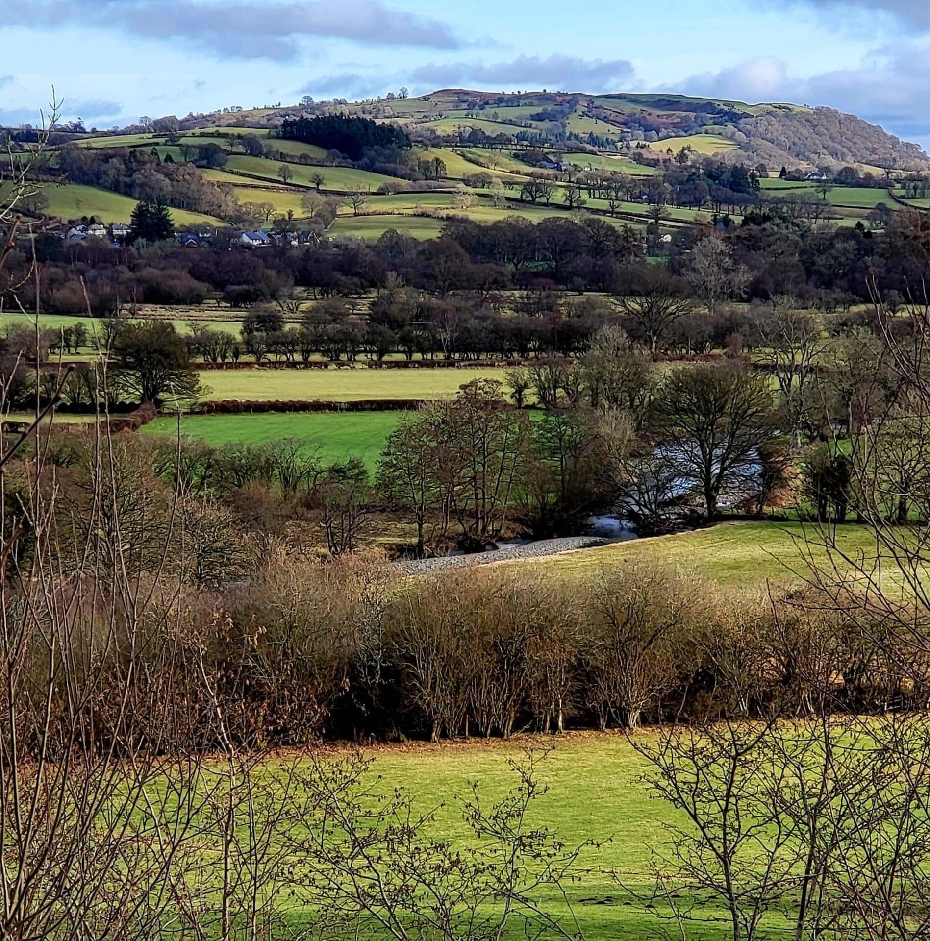 Un paysage rural caractérisé par des collines douces, une rivière et des arbres dispersés.
