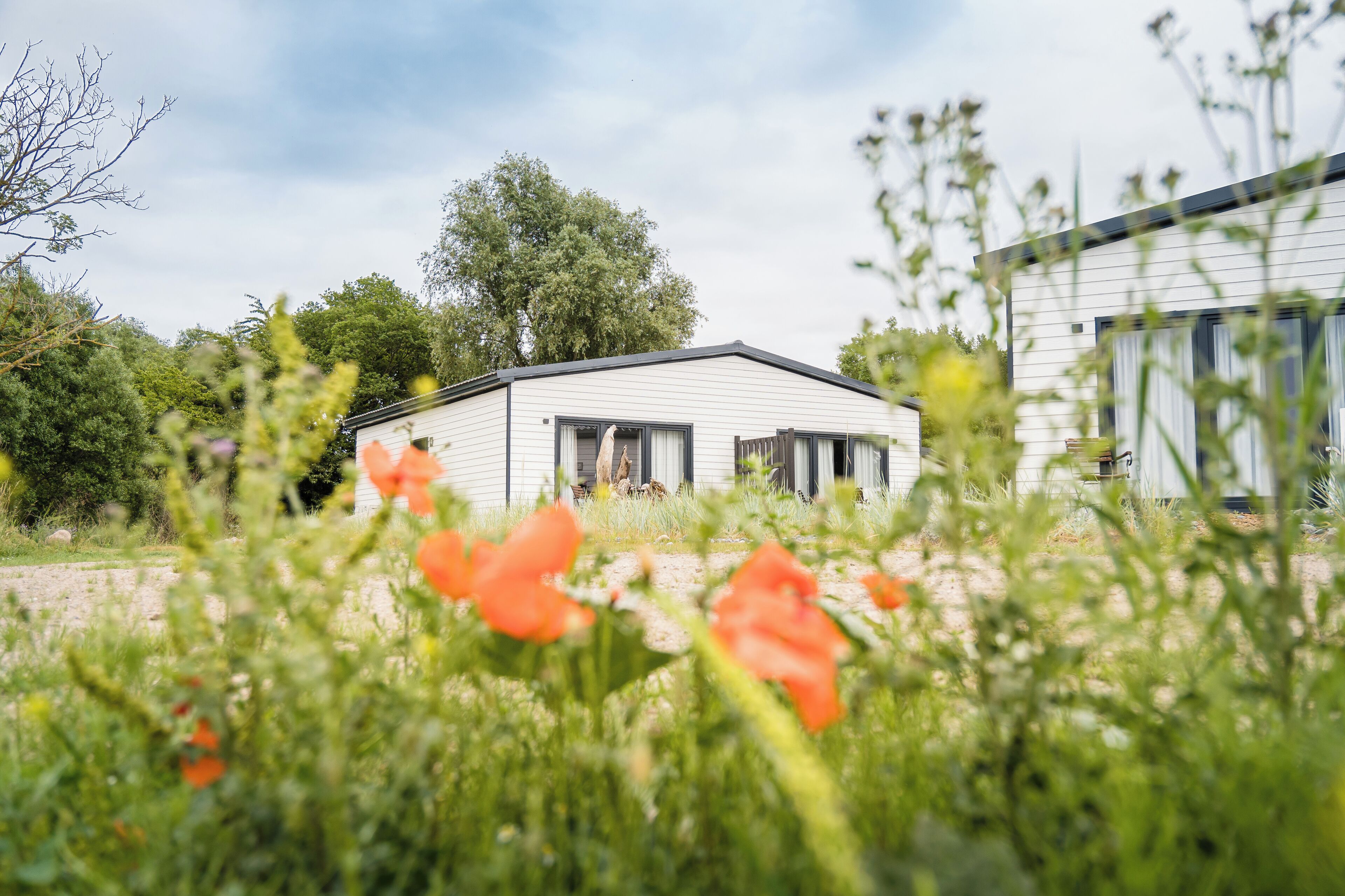 Une maison moderne de plain-pied, à l’extérieur blanc, entourée de verdure et sous un ciel dégagé.