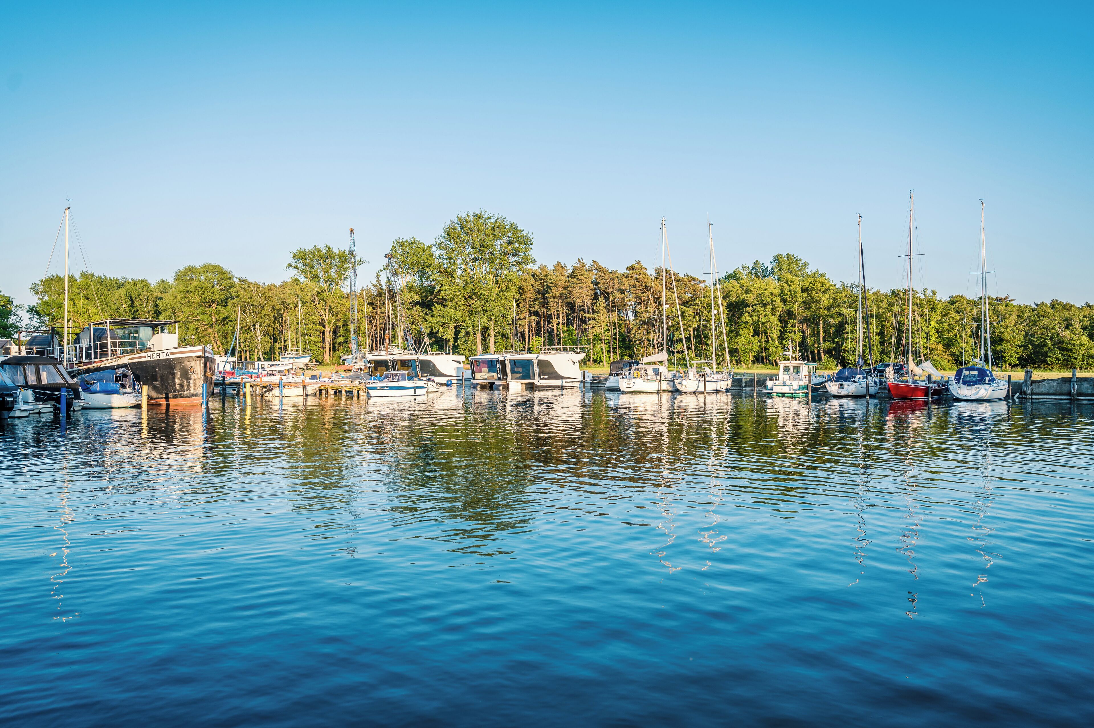 A marina with various boats docked, surrounded by trees.