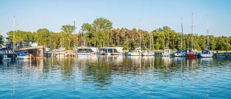 A marina with various boats docked, surrounded by trees.