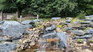 Property grounds - Luxury cabin at an affordable price with waterfall! (Bryson City)