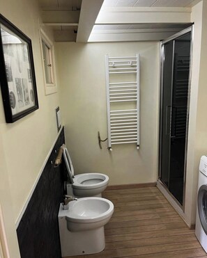 Shower, hair dryer, bidet, towels