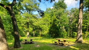 Un parc avec des tables de pique-nique, entouré d’arbres.
