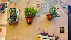 Une façade d’immeuble patinée par le temps, agrémentée de plantes en pot et de caisses en bois remplies de fleurs.