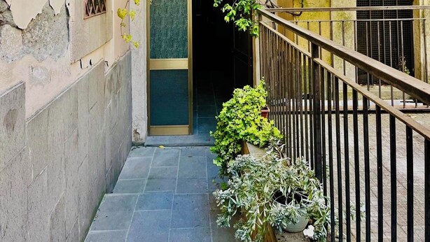 Une ruelle étroite avec un escalier menant à une porte, le tout bordé de murs sur lesquels poussent quelques plantes.