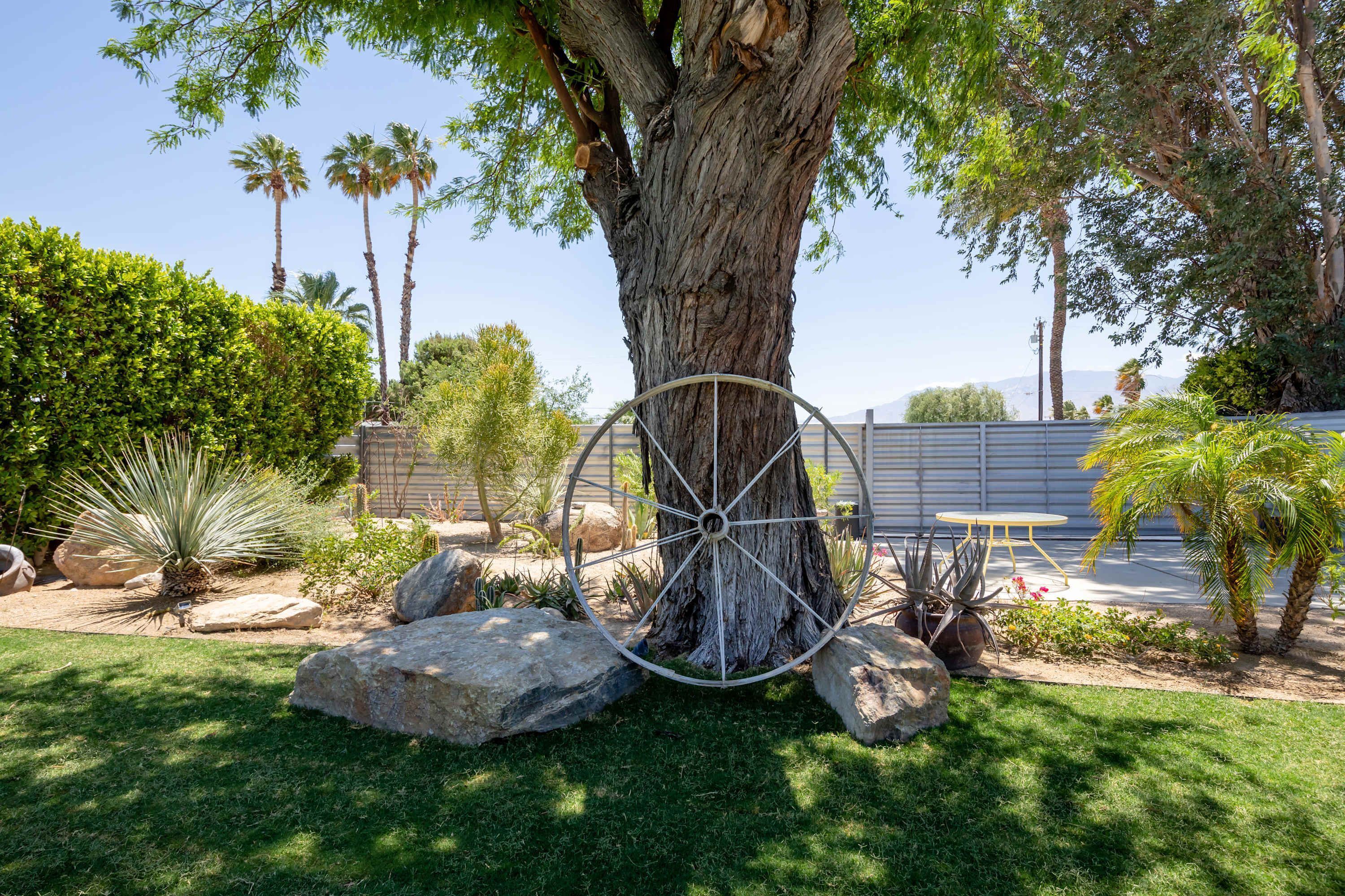 Un árbol con una gran estructura circular en un jardín ajardinado.