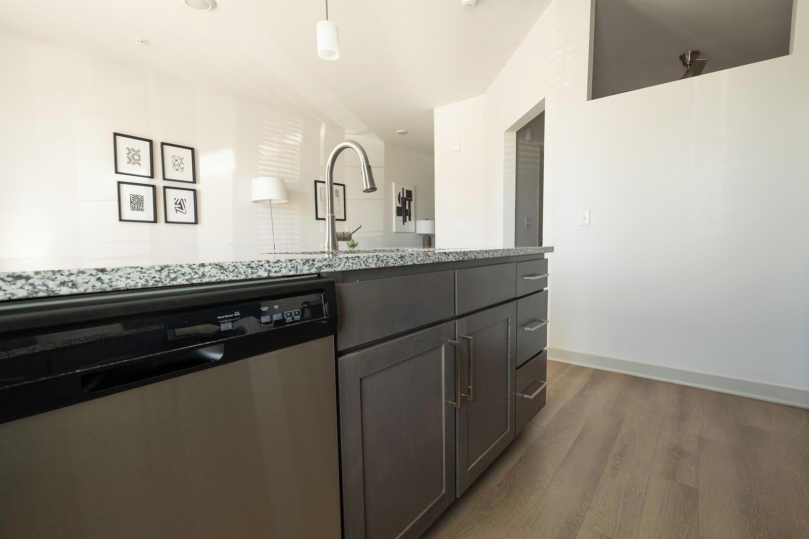 A modern kitchen with a dishwasher, granite countertop, and dark cabinetry.