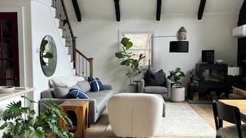 Smart TV, fireplace, computer monitors, printers