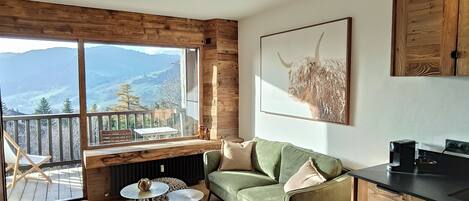 TV connectée, livres, chaîne hi-fi