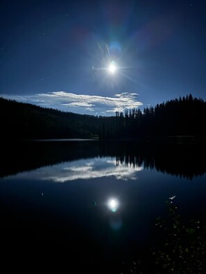 A calm lake reflecting the moon and stars, surrounded by a dense forest.
